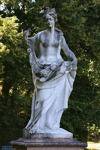 Flora