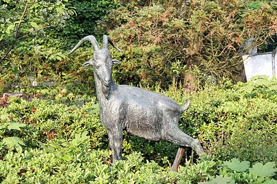 Steinbock