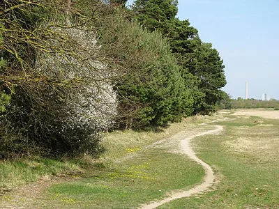 Panzerwiese und Hartelholz