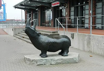 Nashorn