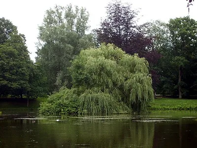 Stadtpark