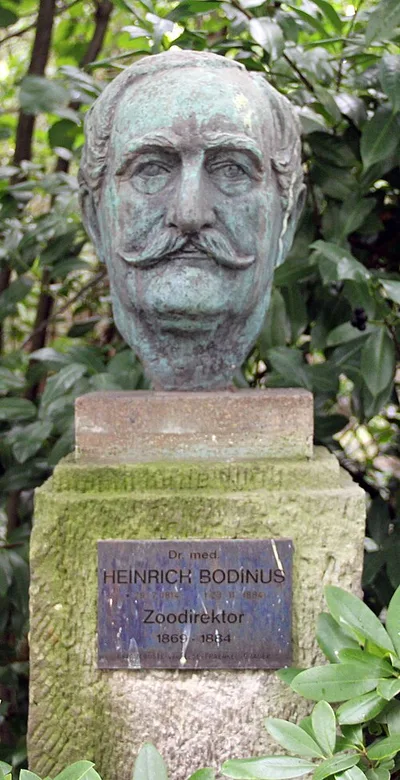 Büste Heinrich Bodinus
