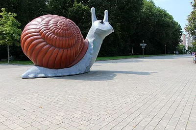 Sweet Brown Snail