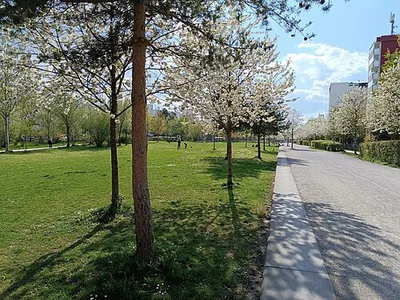 Heckenstallerpark