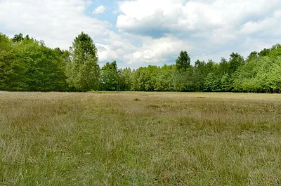 Grönauer Heide, Grönauer Moor und Blankensee
